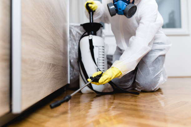 Wasp Removal Services in Baton Rouge, LA