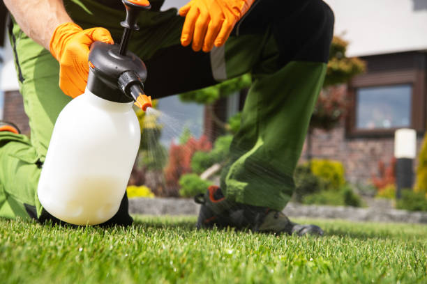 Best Rodent Control Near Me  in Baton Rouge, LA