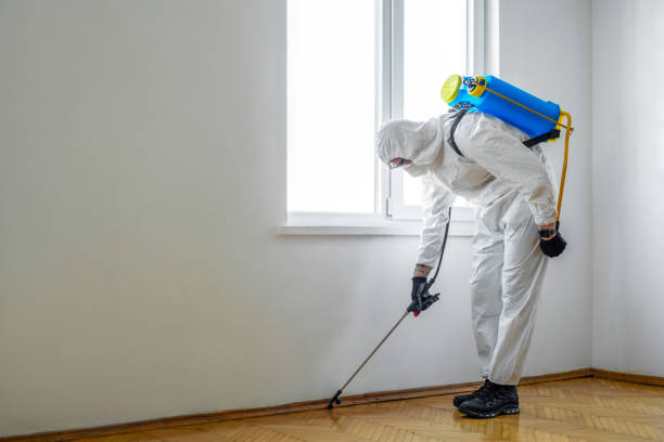 Best Flea Control Services  in Baton Rouge, LA