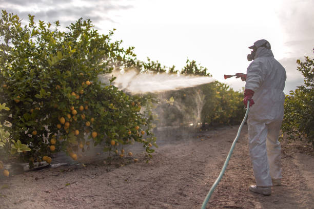 Best Termite Control Services  in Baton Rouge, LA