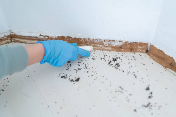 Best Cockroach Control Services  in Baton Rouge, LA