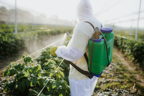 Best Wasp Removal Services  in Baton Rouge, LA